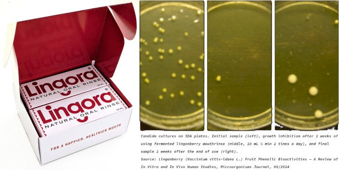 🎉Lingora® Twin-pack is now available🎉