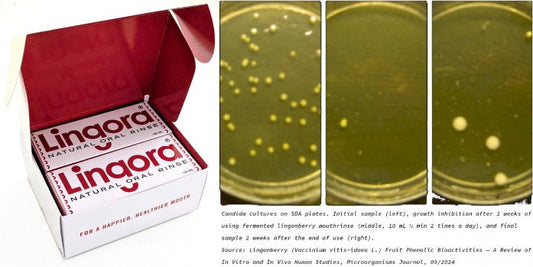 🎉Lingora® Twin-pack is now available🎉