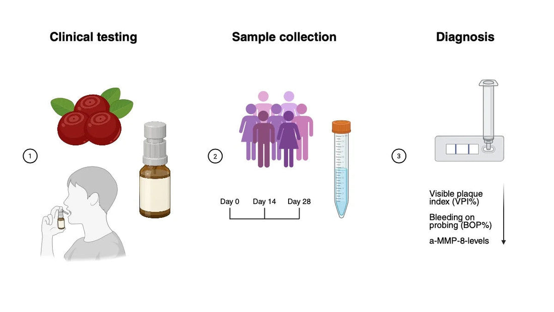 🌟 Lingora® Natural Oral Spray is on its way! 🌟