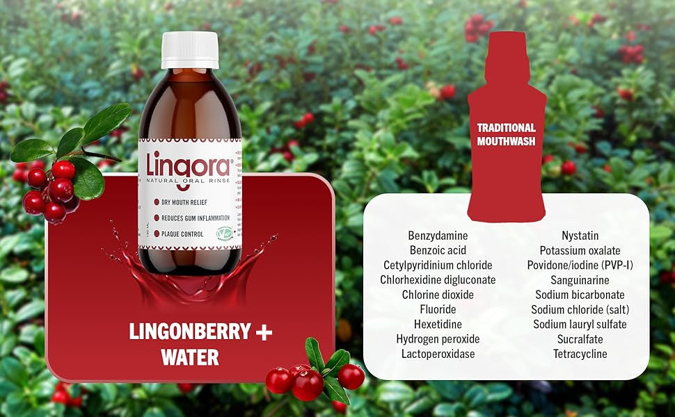 A Lingora mouthwash bottle labeled 'Lingonberry + Water' shown beside a red traditional mouthwash bottle and a white ingredient list, set against a blurred green berry field background.