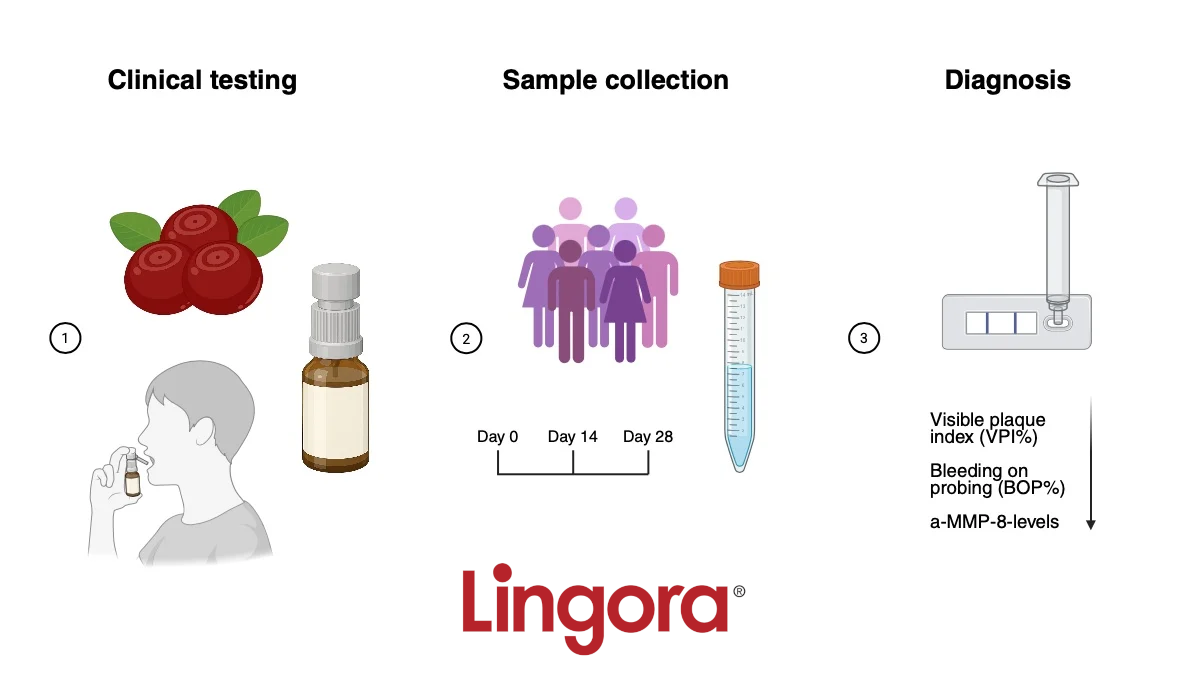 Lingora® Natural Oral Spray, 15 ml